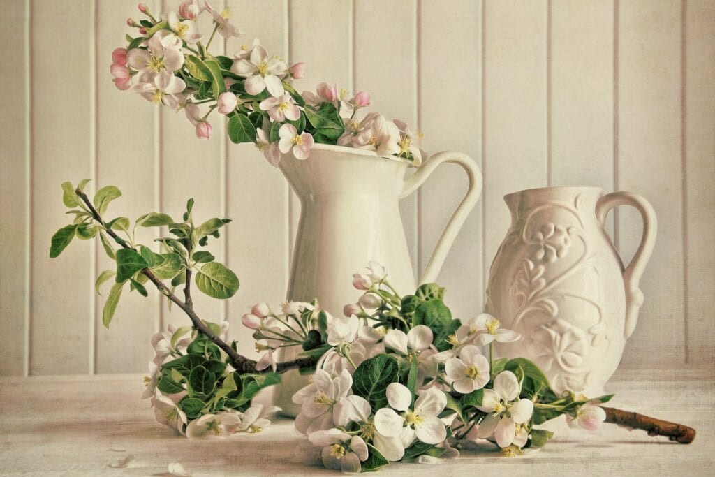 Flowers and vases