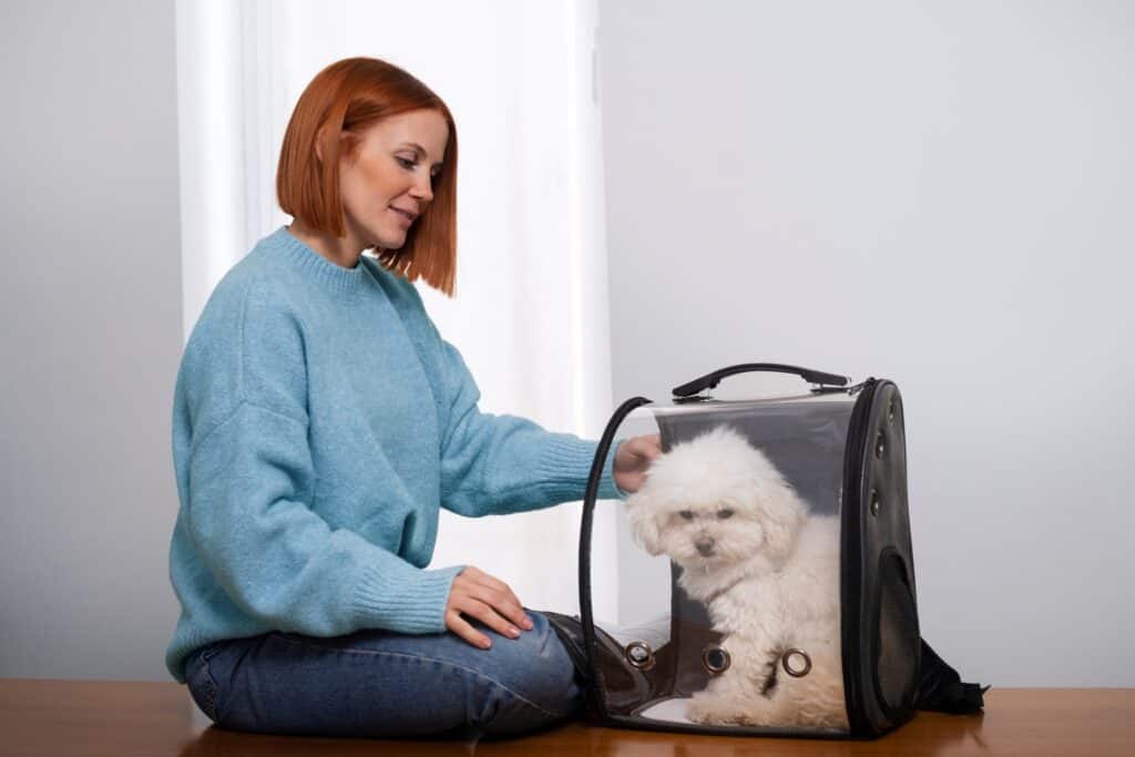 A woman placing her dog into the carrier on the moving day